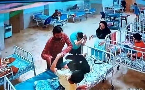 بوشهر