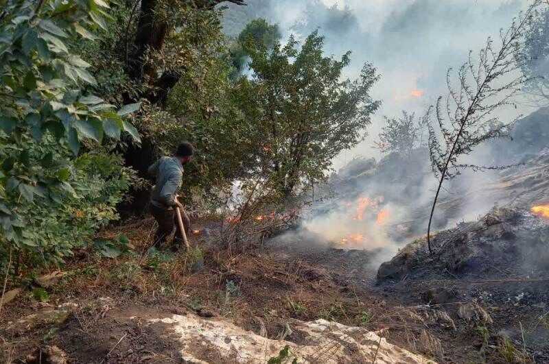 آتش جنگل ارتفاعات نیلکوه گالیکش با بالگرد خاموش می‌شود