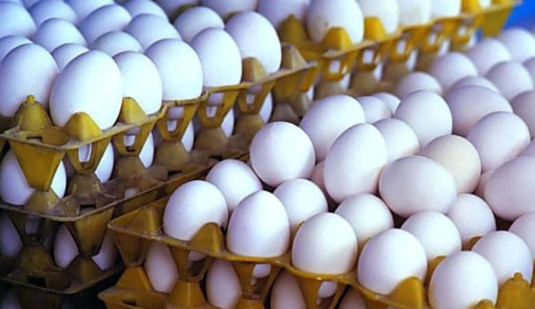 قیمت تخم مرغ چند؟ +جدول