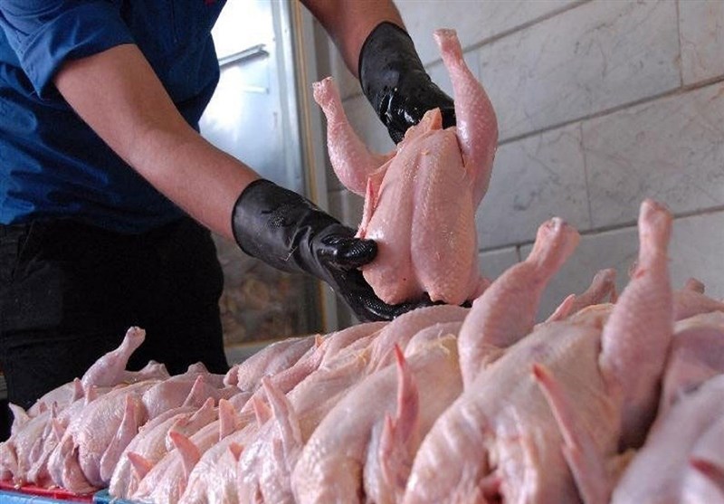 سود بازرگانی واردات «گوشت مرغ» صفر شد