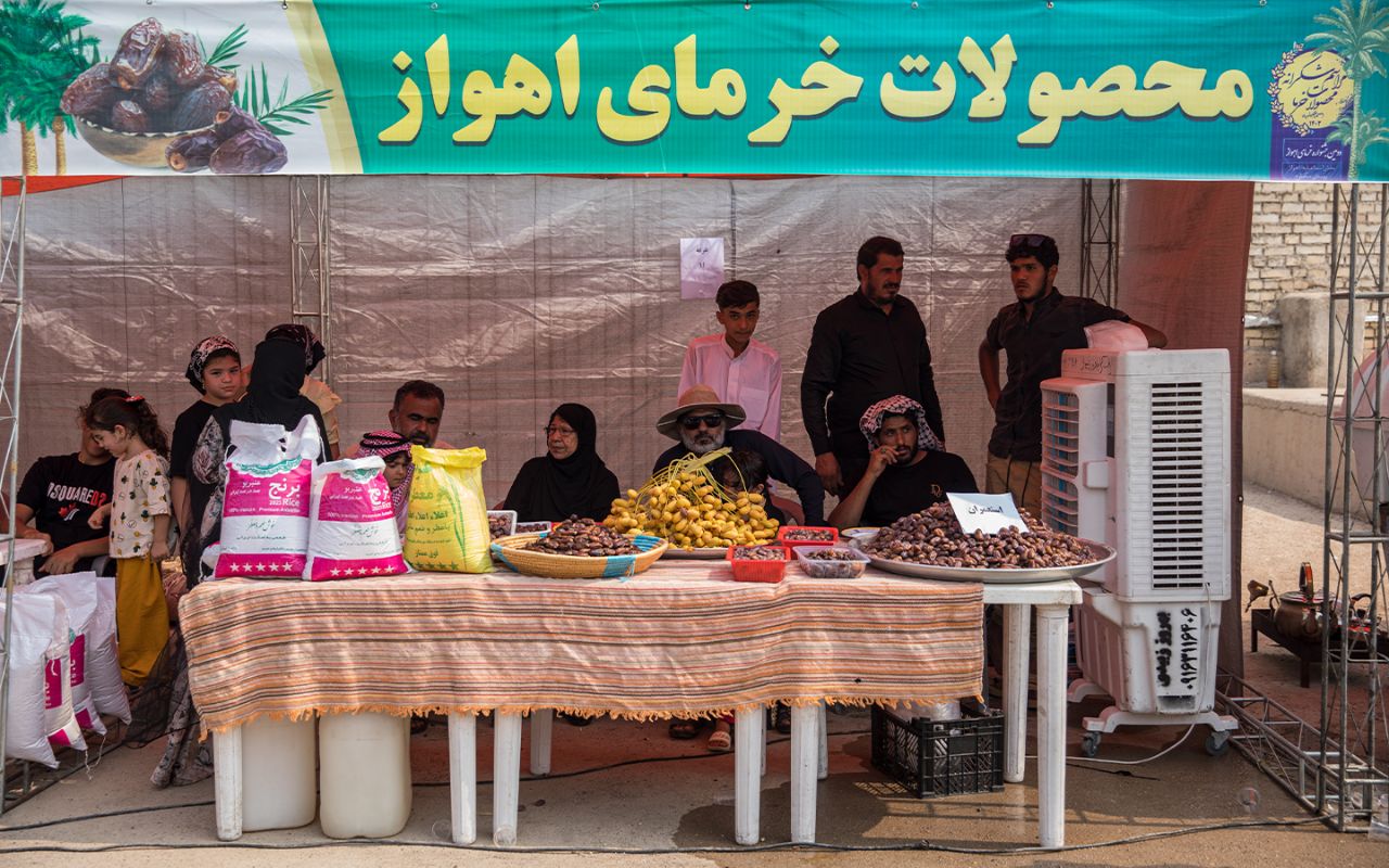 سکوتی به بلندای نخل،لذتی به شیرینی خرما+گزارش تصویری