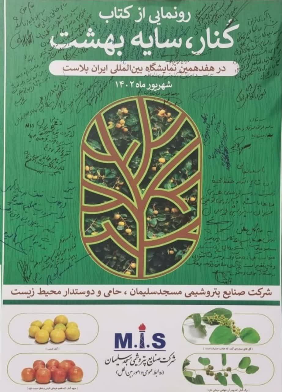 کاشت درخت بومی کُنار در منطقه جهت حفظ محیط زیست و اشتغال کاشت درخت بومی کُنار در منطقه جهت حفظ محیط زیست و اشتغال