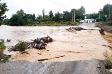 هشدار تشدید بارش در ۵ استان و سیلابی‌شدن مسیل‌ها