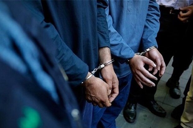 دستگیری ۱۶۴ سارق حرفه‌ای در پایتخت