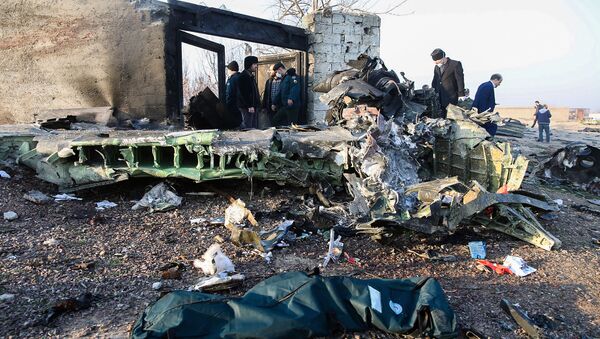 سانحه هواپیمای اوکراینی؛ بیانیه وزارت خارجه درباره مذاکرات با ۴ دولت