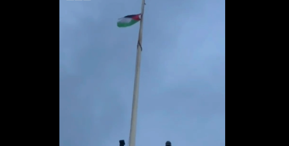 شفیلد