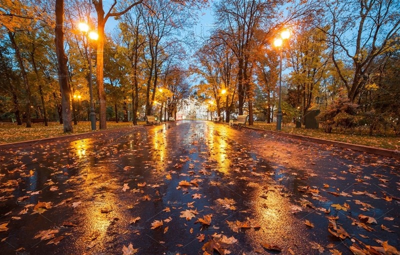 هواشناسی ایران؛ احتمال آب‌گرفتگی و سیلاب ناگهانی در ۵ استان