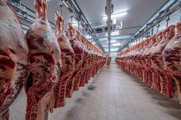 تولید بیش از ۶۹۵۰ تن انواع گوشت در خمین