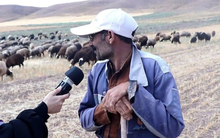 «دومینو»؛ همزیستی انسان و سگ