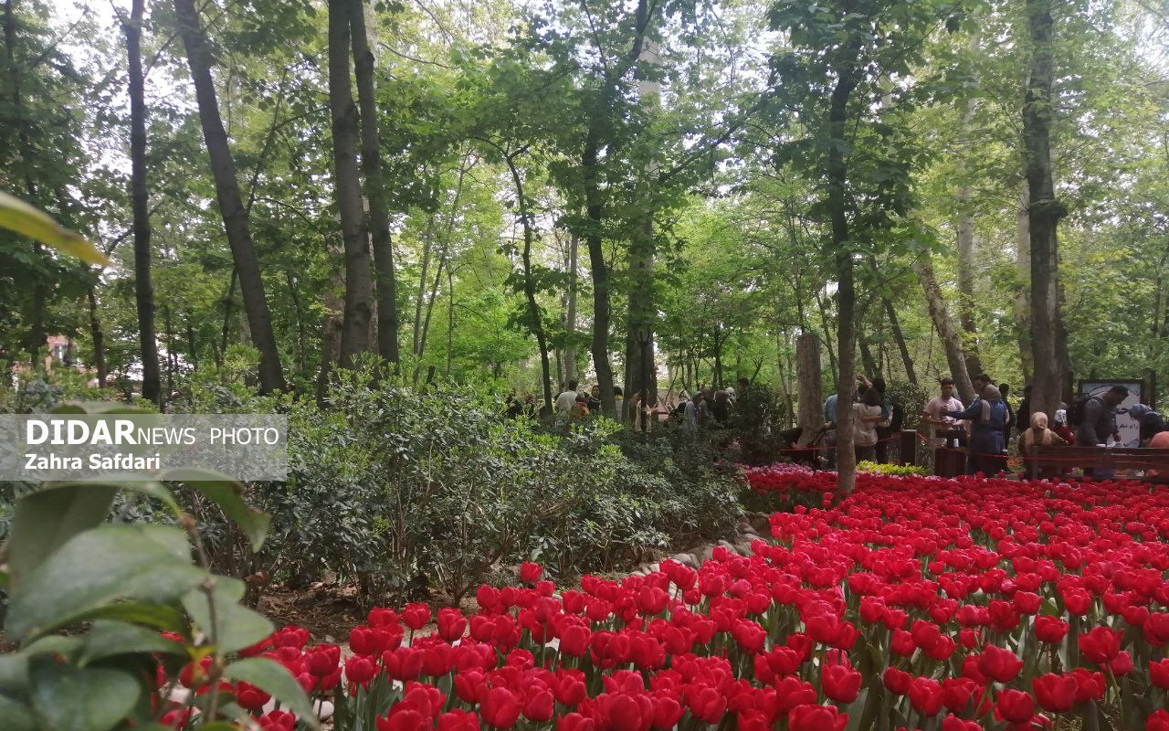 گزارش تصویری؛ بهارِ باغ ایرانی