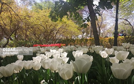 گزارش تصویری؛ بهارِ باغ ایرانی