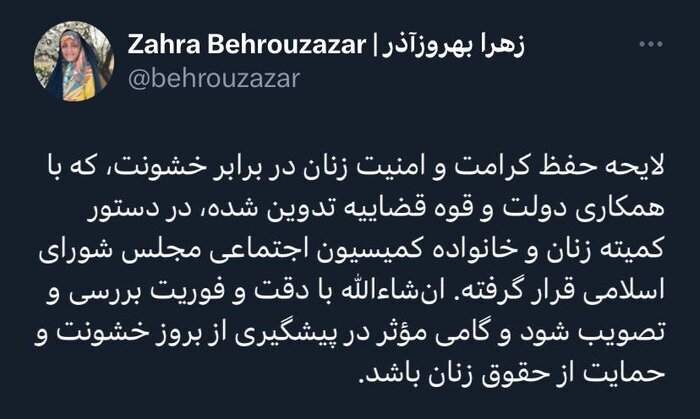 مجلس به فکر لایحه امنیت زنان افتاد