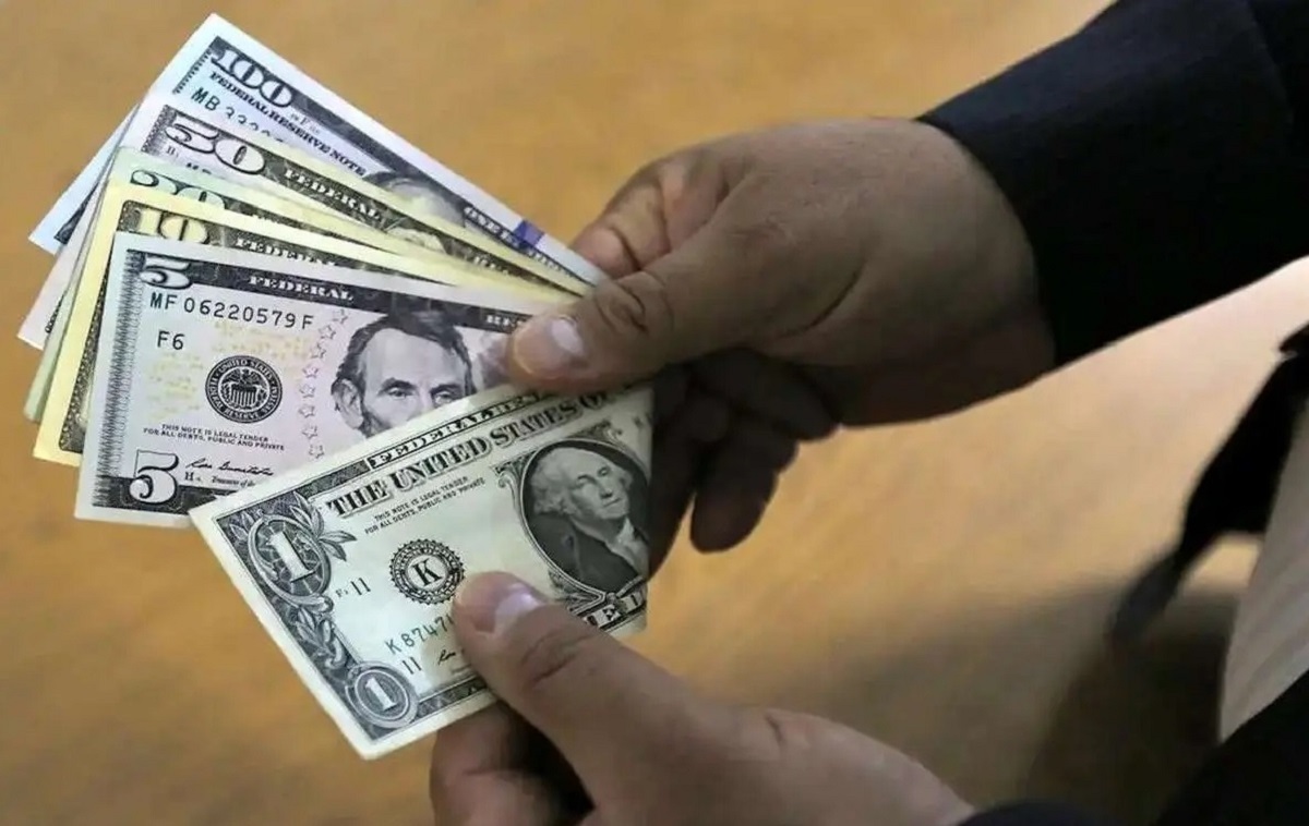 دلار ۵ رقمی می‌شود؟/ یک کارشناس: دولت فنر را رها کرده است