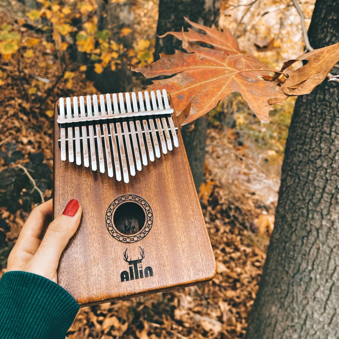 کالیمبا بهترین کادو - خرید کالیمبا هدیه
