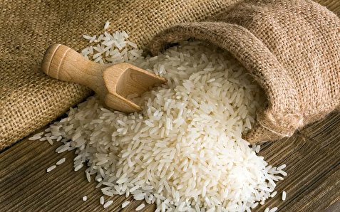 افزایش قیمت برنج ایرانی!