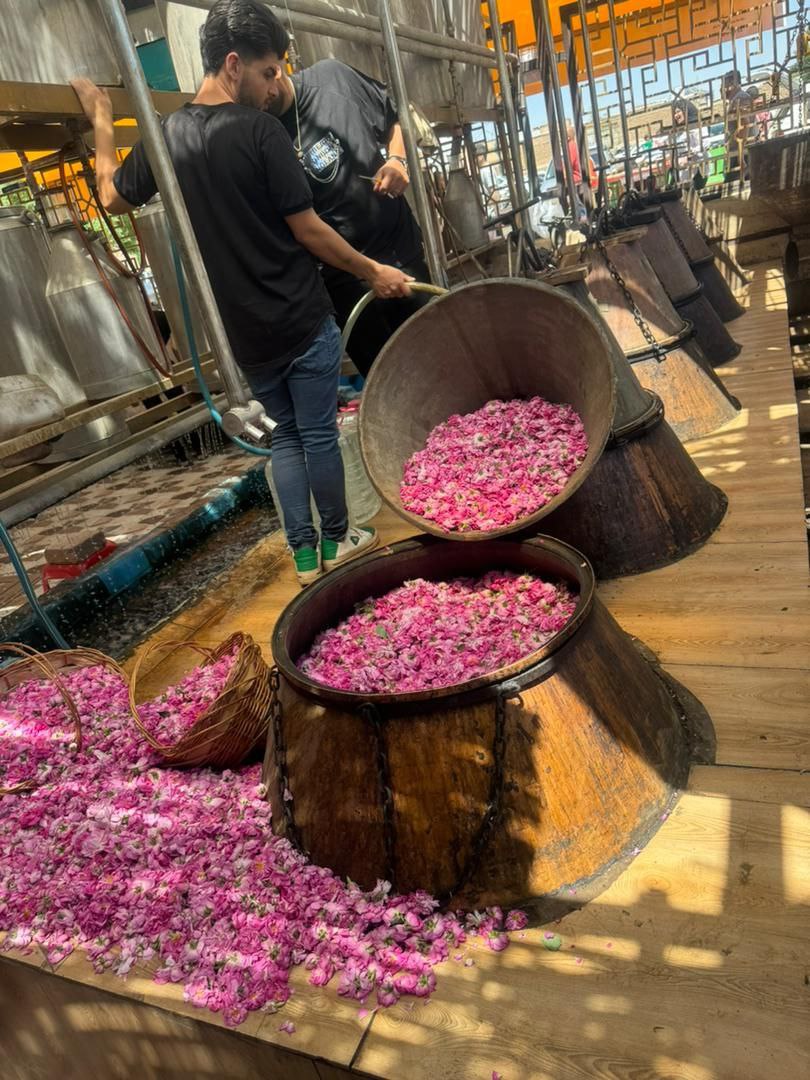 کاشان، سرزمینی از جنس گل و گلاب
