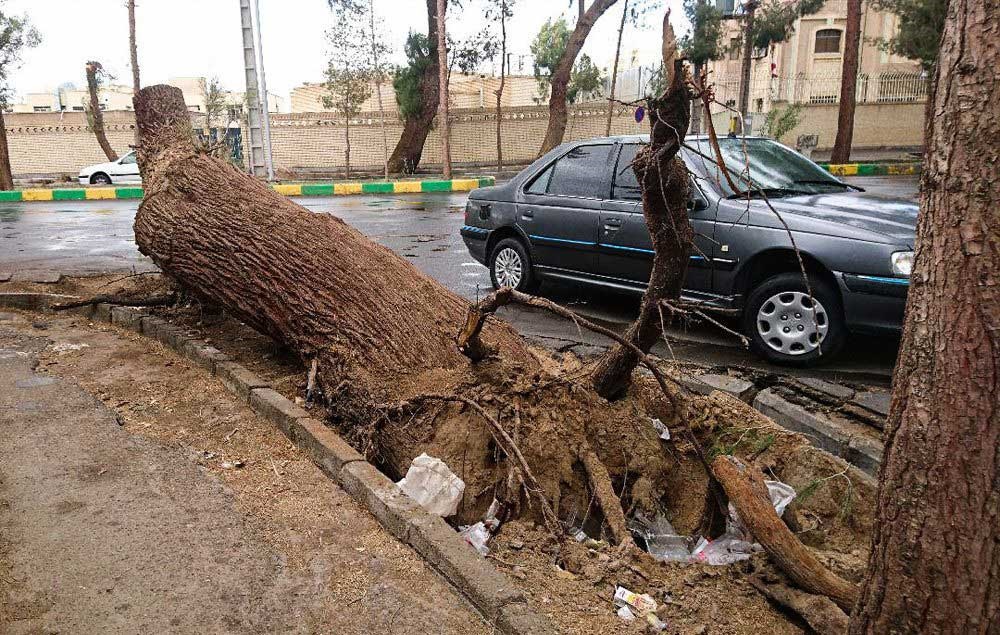 هشدار و آماده‌باش مدیریت بحران برای باد و باران شدید