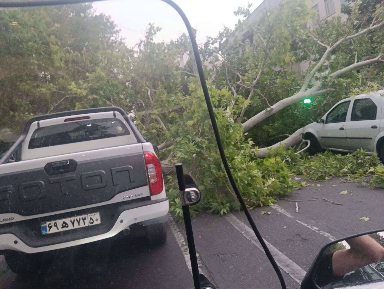 خسارت‌های طوفان در تهران