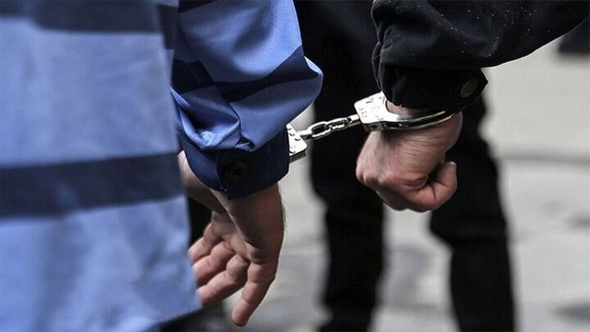 ۱۱۵۶ سارق در کشور دستگیر شدند