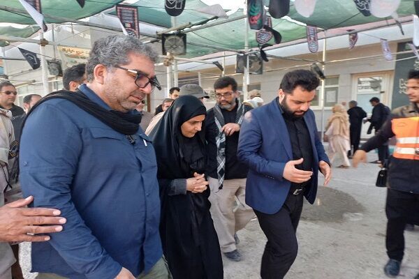 فرزانه صادق از پایانه مرزی چذابه بازدید کرد