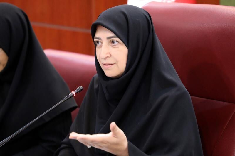 انصاری: اصل شفافیت و پاسخگو بودن در دستور قرار می‌گیرد