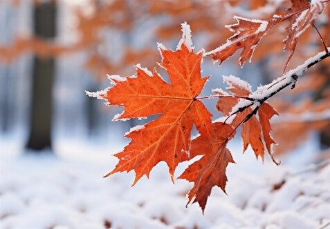 مدارس اردبیل به دلیل بارش برف غیرحضوری شد