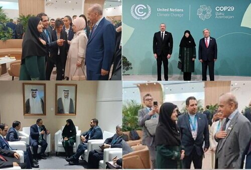 دیدار رییس سازمان محیط زیست با مقامات چند کشور‌