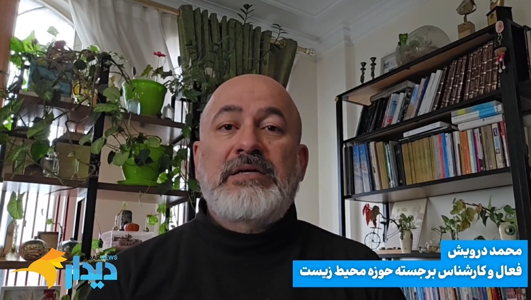 حیاتی ۵۵