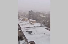 ملایر سفیدپوش شد