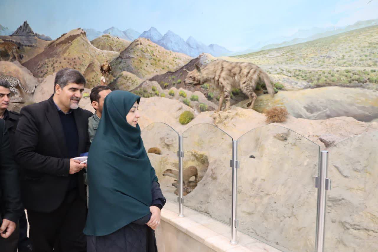 رییس سازمان حفاظت محیط زیست وارد قم شد