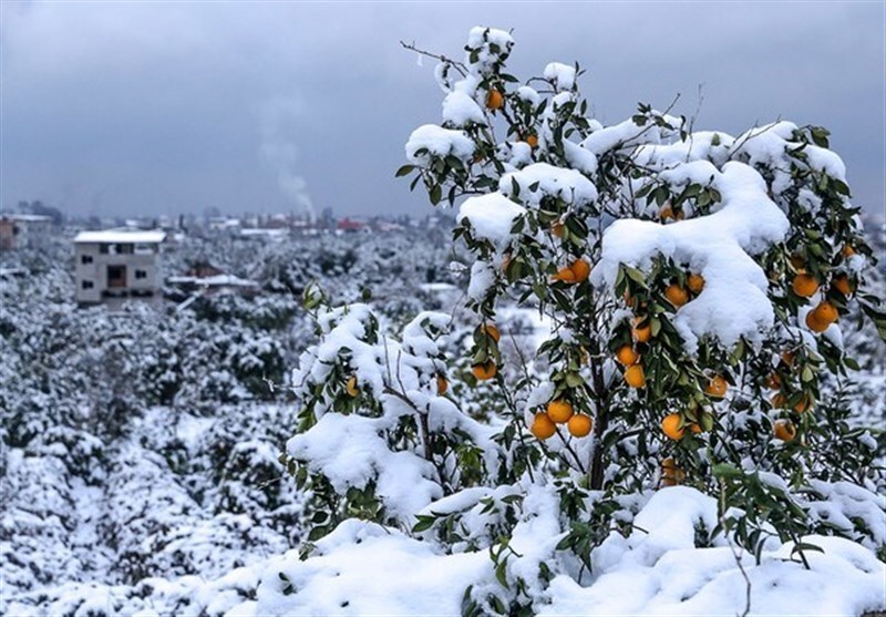 سرمای شدید در کردستان