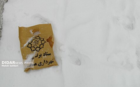 احتمال بارش برف در ارتفاعات و روند افزایشی دما/ دمای تهران به ۴ درجه رسید