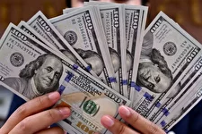 دلار در کانال ۱۳۲/ نوسانات حاصل ارزپاشی است