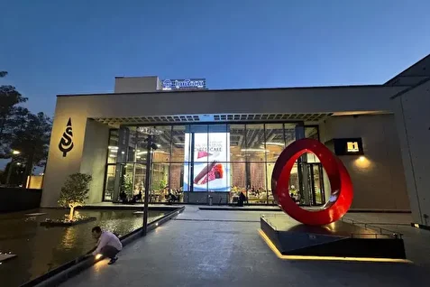 کلیه اموال و حساب‌های ساعدی‌نیا توقیف شد