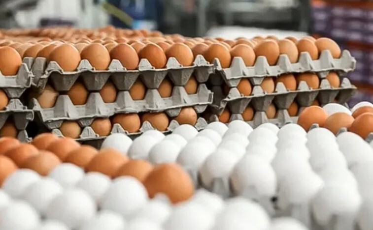 ۳۰ عدد تخم مرغ در فروشگاه‌های زنجیره‌ای؛ ۴۵۰ هزار تومان