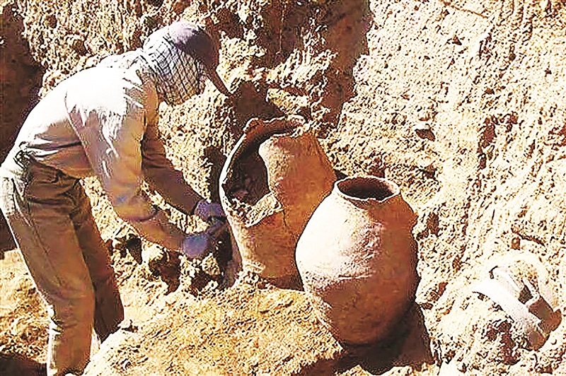 تاریخ زیر تیغ تاریخ زیر تیغ