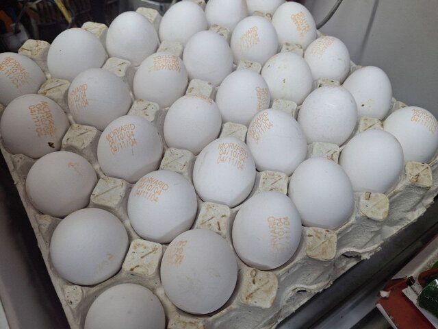 تخم‌مرغ ۳۰۰ هزار تومانی؛ در بازار چه خبر است؟