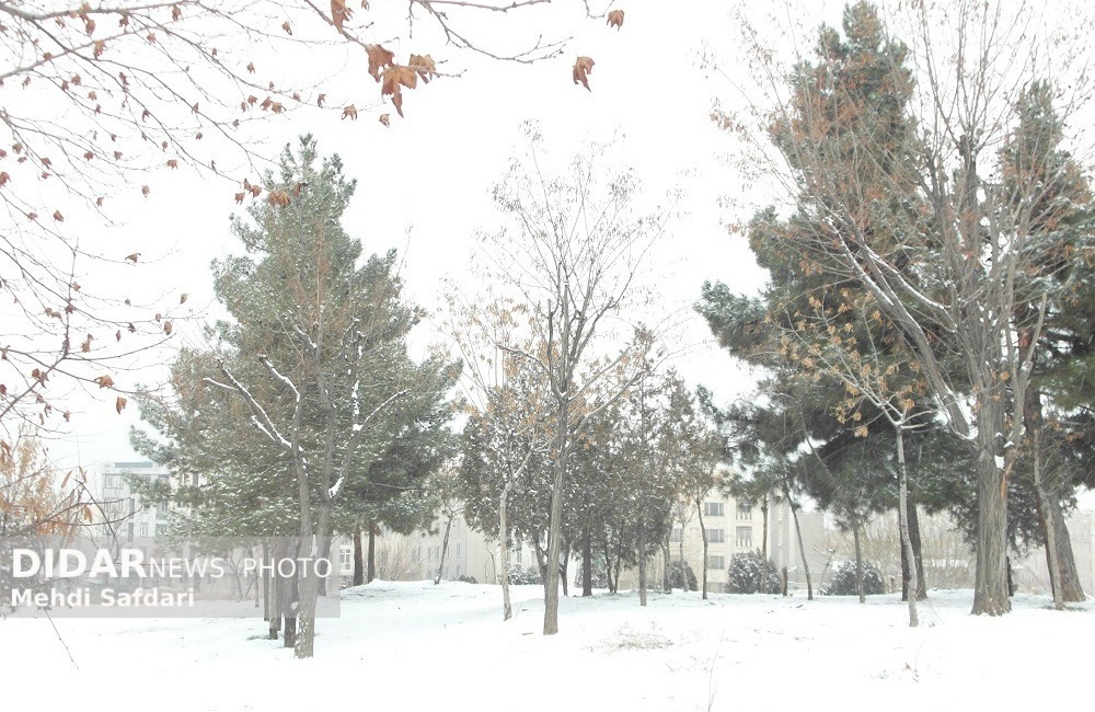 بارش باران و برف در کشور/ شدت بارش‌ها در این مناطق