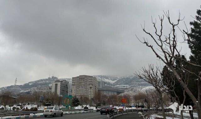 بارش باران و افزایش دما در پایتخت