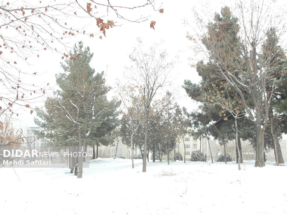 تهرانیها منتظر بارش برف و باران باشند تهرانیها منتظر بارش برف و باران باشند