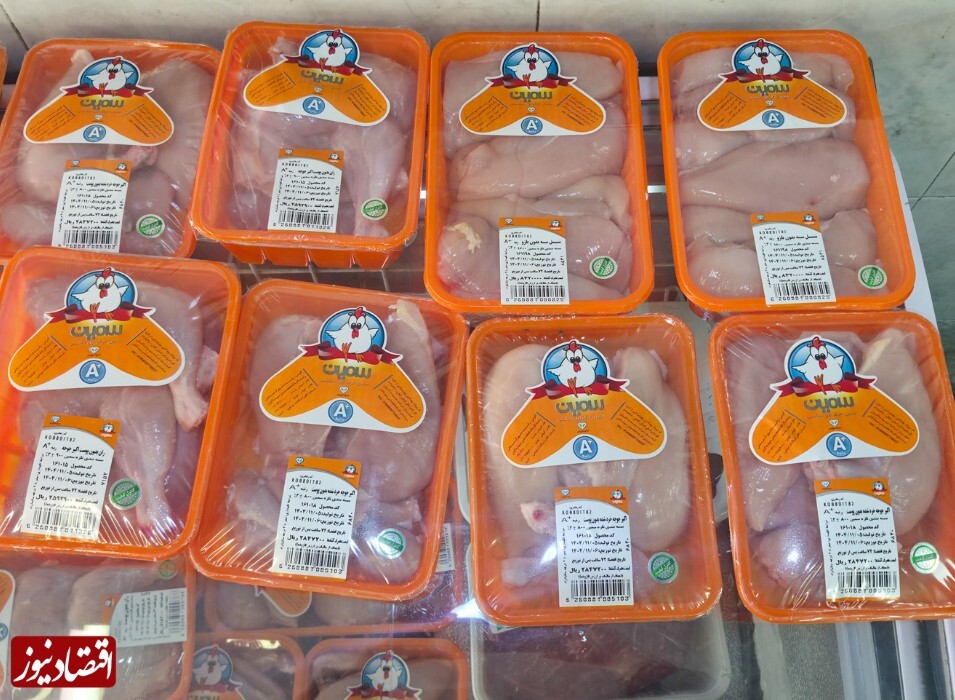 کالابرگ؛ قدرت انتخاب هست، امکان خرید «نه»