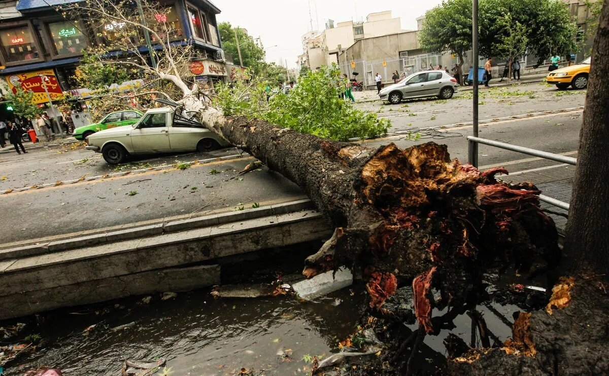 باد شدید و گردوخاک در تهران ادامه دارد