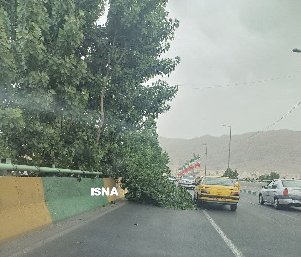 هشدار؛ وزش باد شدید و گردوخاک در تهران/ شکستن درختان در کرج +عکس