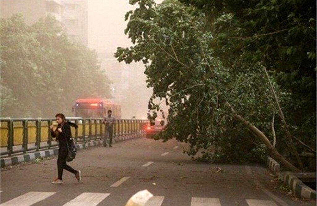 هشدار زرد؛ بارش رگبار باران و وزش باد شدید