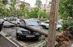 ۲ فوتی و ۴۱ مصدوم در طوفان شدید تهران