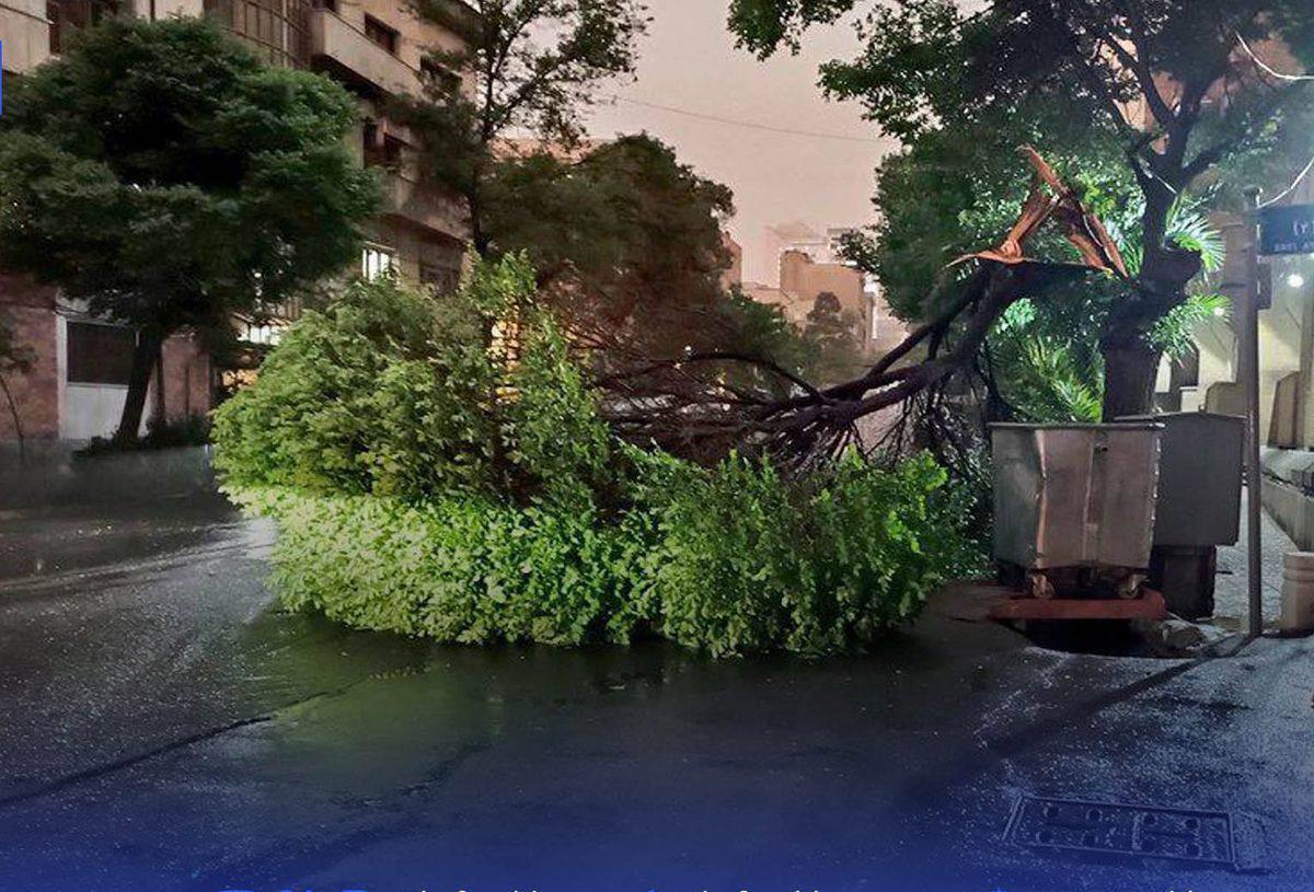 انتقاد سوده نجفی از شهرداری در پی طوفان تهران
