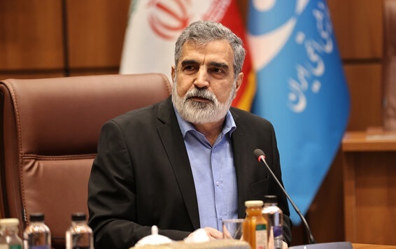 کمالوندی: غربی‌ها اشتباه کردند