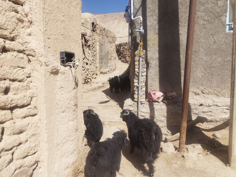 آبرسانی پایدار در اوج تنش آبی در روستاهای خراسان جنوبی