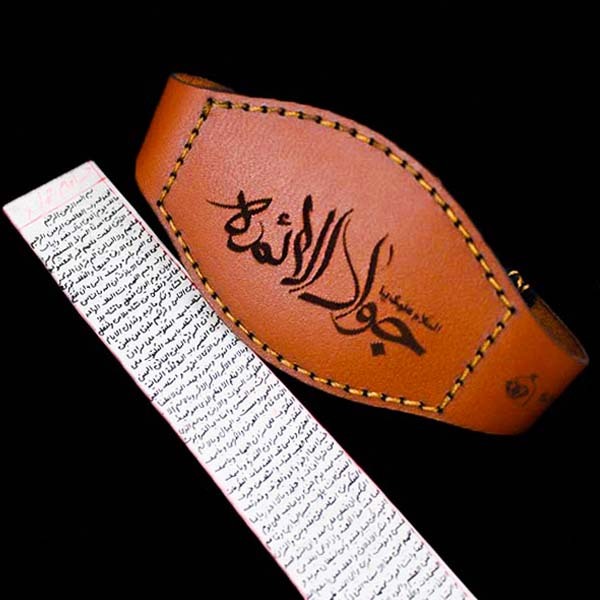 خلاصه زندگی نامه امام محمد تقی (ع) و نکاتی درباره امام جواد