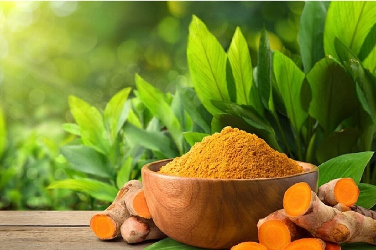 بهترین ادویه برای کاهش خطر سرطان
